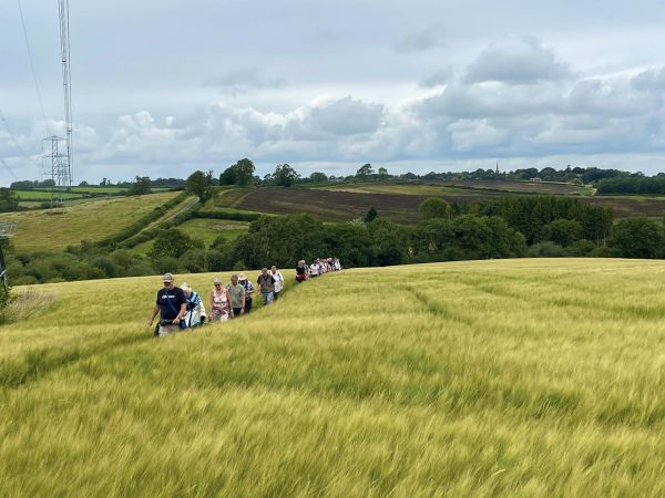 through the long grass